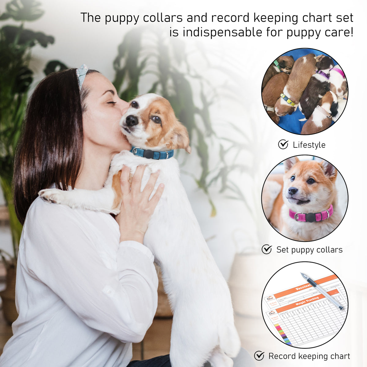 GAMUDA Velvet Puppy ID Collars — Litter Set of 12