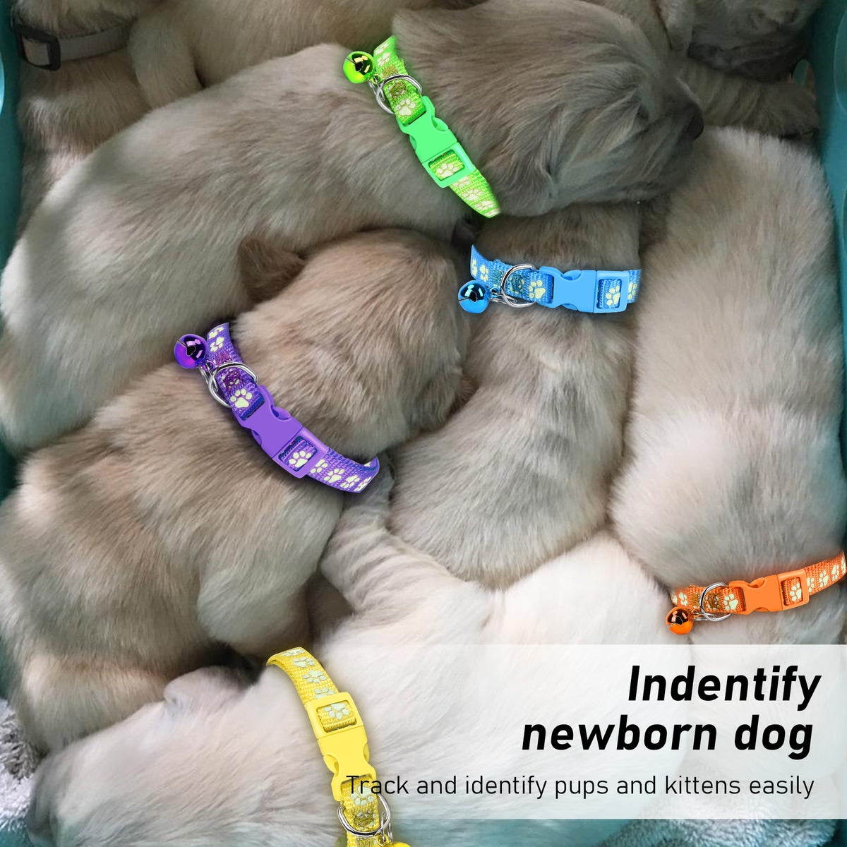 GAMUDA 12Pcs Reflective Puppy Collars, Soft Nylon Whelping Collars, Identification Collars Glow in The Dark, Adjustable Buckle Litter Collars with 2 Record Keeping Charts