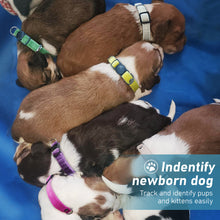 Load image into Gallery viewer, GAMUDA Puppy Collars Velvet – Super Soft Nylon Whelping Puppy ID - Adjustable Breakaway Litter Collars Pups – Assorted Colors Plain &amp; Identification Collars with 2 Record Keeping Charts – Set of 12