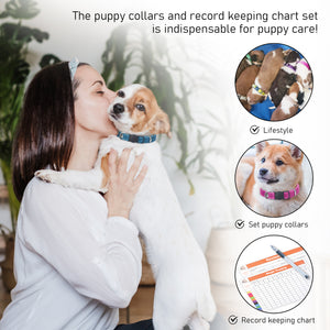 GAMUDA Puppy Collars Velvet – Super Soft Nylon Whelping Puppy ID - Adjustable Breakaway Litter Collars Pups – Assorted Colors Plain & Identification Collars with 2 Record Keeping Charts – Set of 12