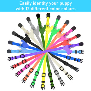 GAMUDA Puppy Collars ID Tags – Super Soft Nylon Whelping Puppy ID - Adjustable Breakaway Litter Collars Pups – Assorted Colors Plain & Identification Collars with 2 Record Keeping Charts – Set of 12