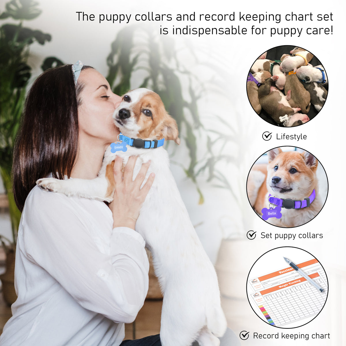 GAMUDA Puppy ID Tag Collars — Litter Set of 12